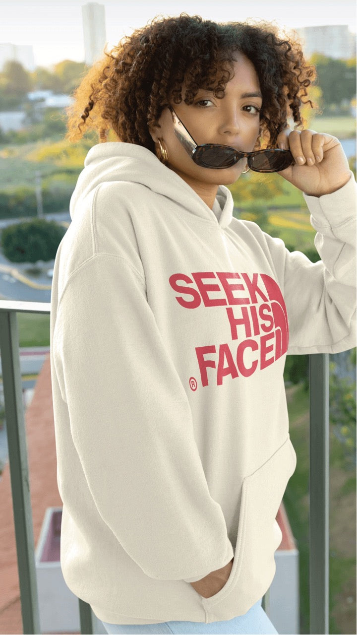 Seek his Face Hoodie by One of a Kinda